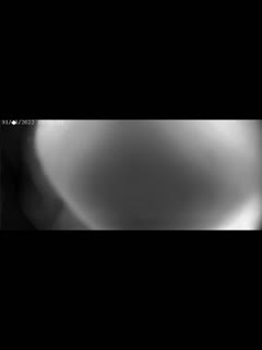 韩国一级无码av观看无码,国产欧美自拍视频