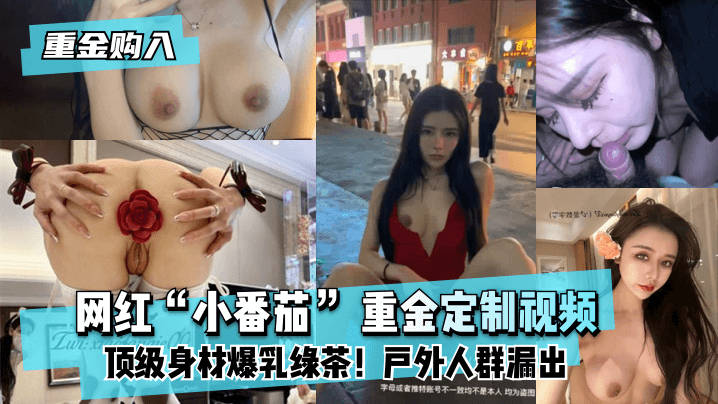 欧美日韩另类一区,国产一级A片手机不卡